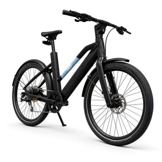 D2 Step Through Electric Bike